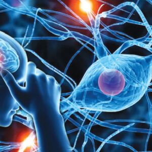 Brain Training Supplementary App for PTSD/Trauma Relief