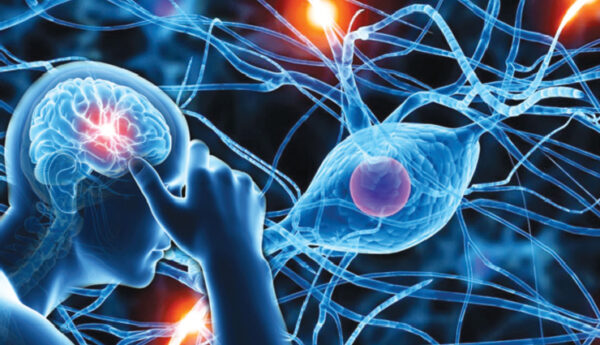 Brain Training Supplementary App for PTSD/Trauma Relief